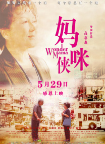 久久亚洲国产成人影院